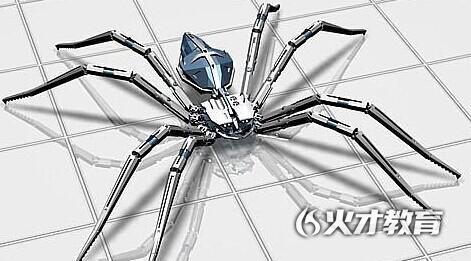 seo蜘蛛是什么，SEO必备——了解网络蜘蛛？